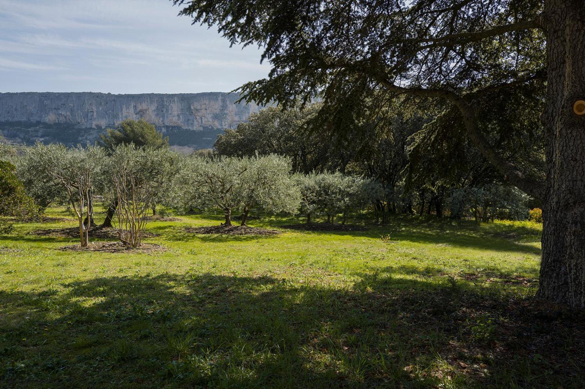 Les Cistes Βίλα Lioux Εξωτερικό φωτογραφία