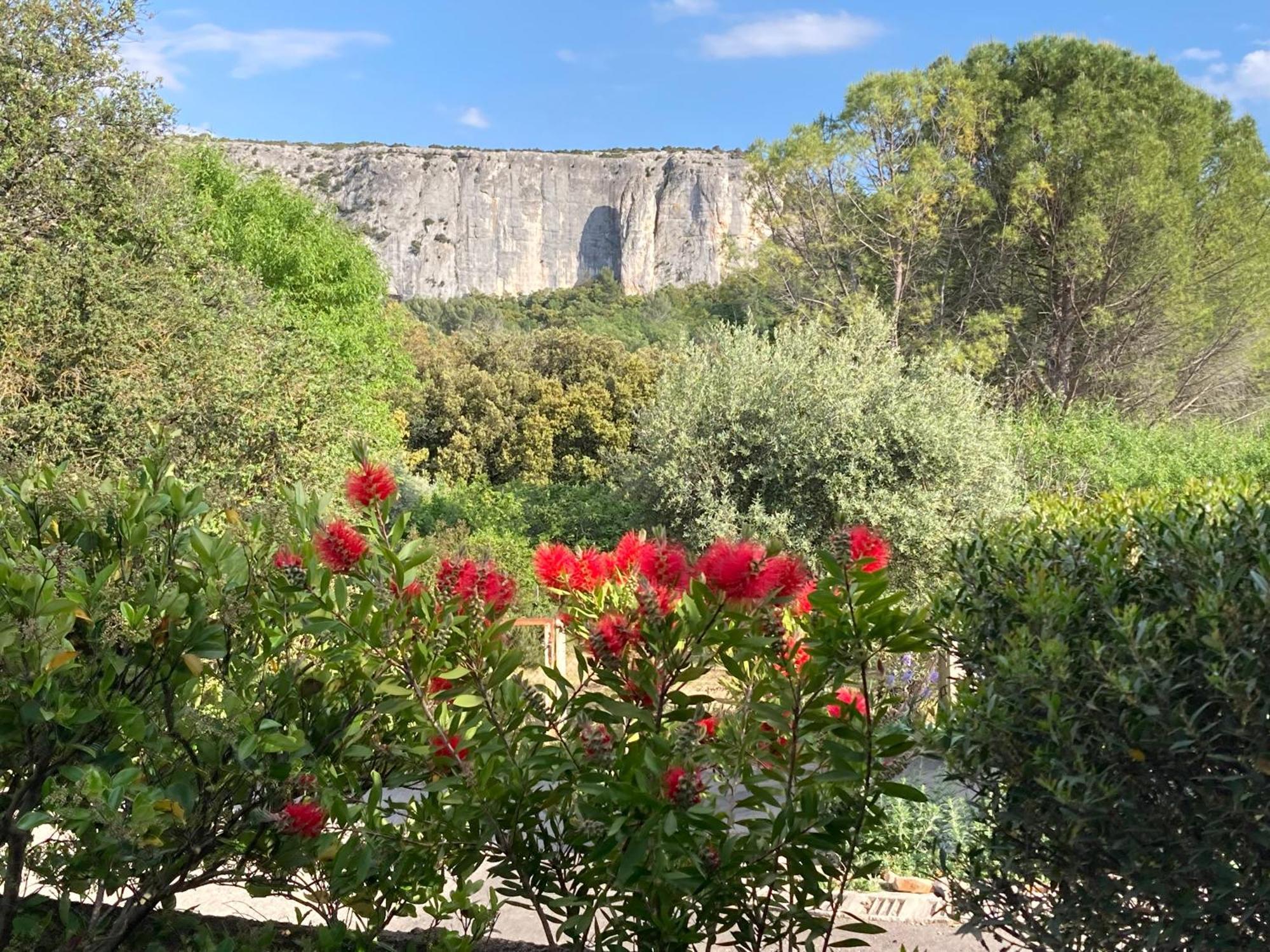 Les Cistes Βίλα Lioux Εξωτερικό φωτογραφία